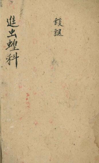進虫蝗科(图1)