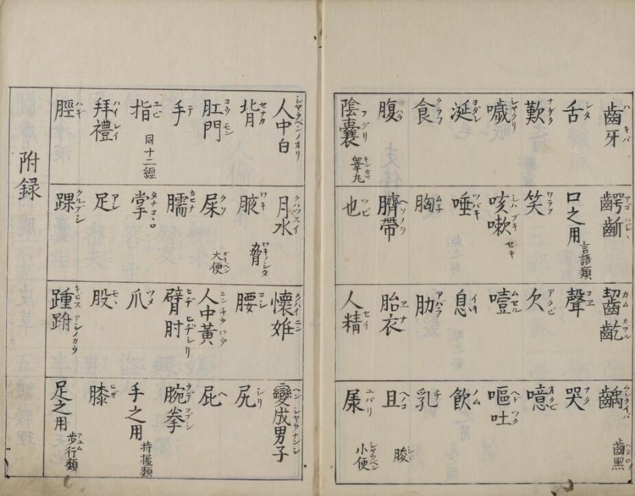 体伦便览(图4)