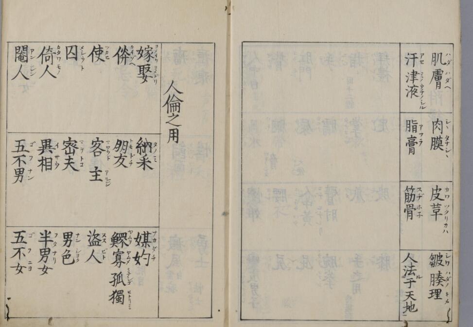体伦便览(图5)