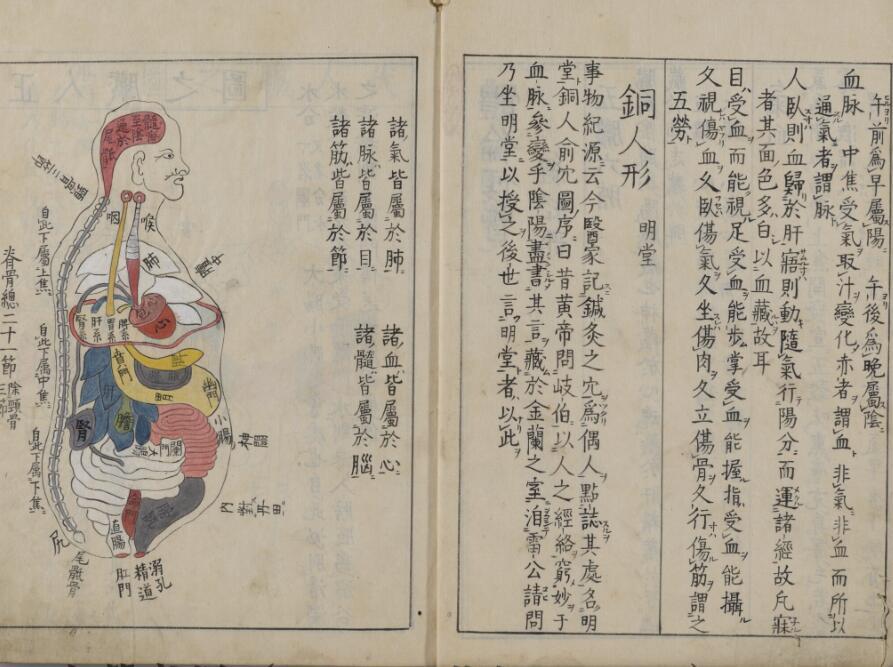 体伦便览(图6)