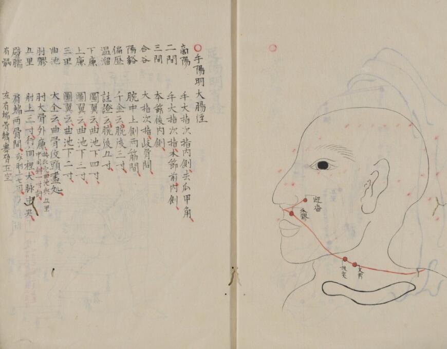 困学经穴法(图4)