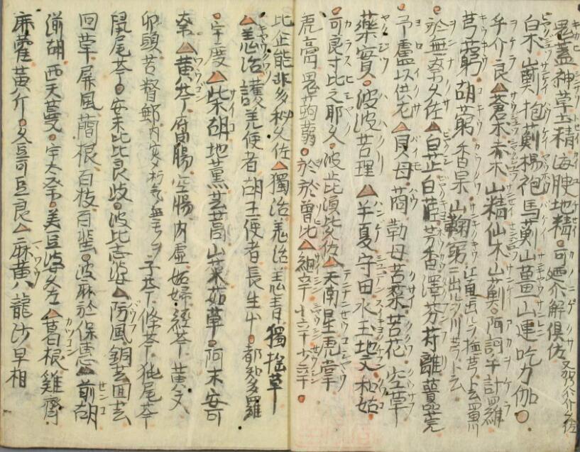 孤版手抄：药种两名集(图3)