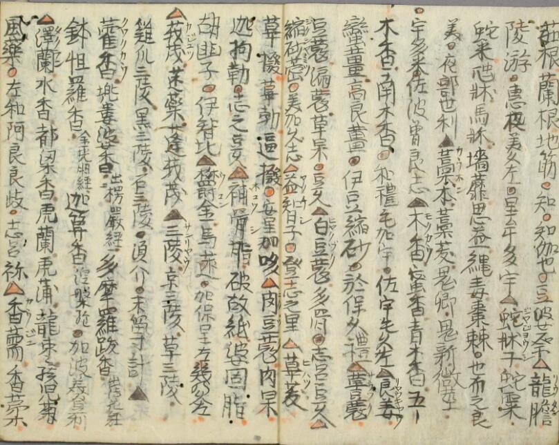 孤版手抄：药种两名集(图5)