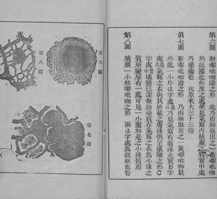 病理撮要(图2)