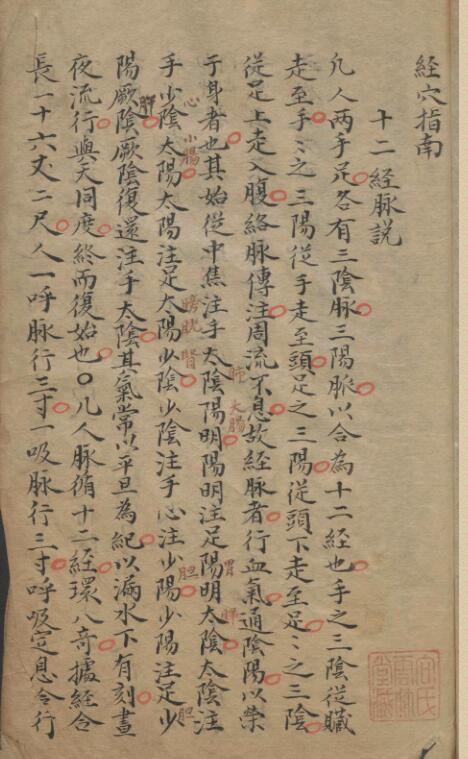 郭佩兰 经穴指南(图2)