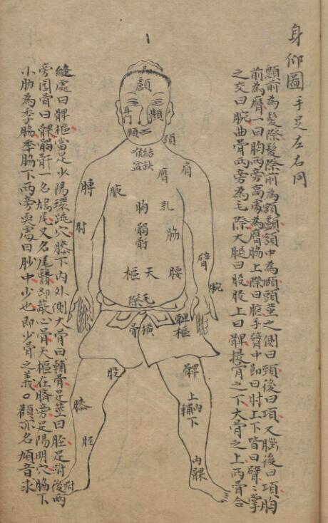 郭佩兰 经穴指南(图6)