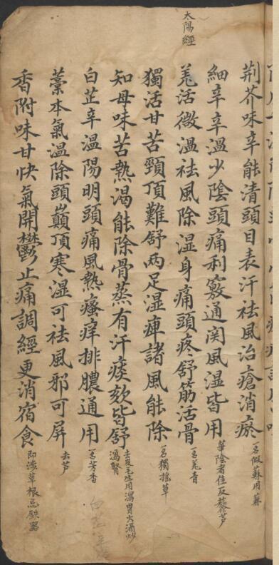 龚廷贤 手抄四言药性(图6)