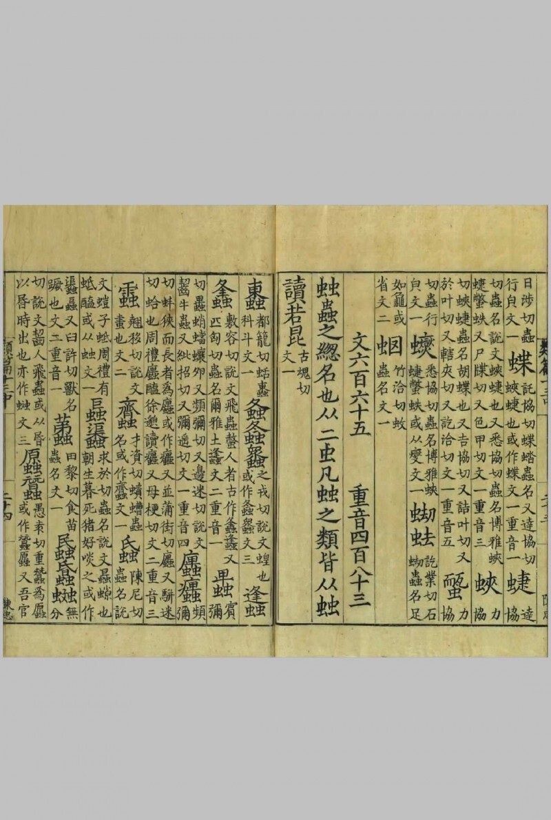 类篇.四十五卷.宋.司马光.等撰.景钞宋刊大字本.台北故宫博物院藏(图6)