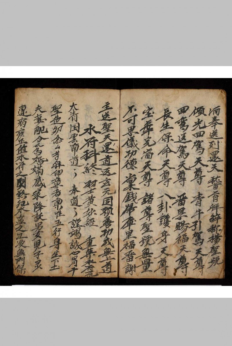 水符科(图6)