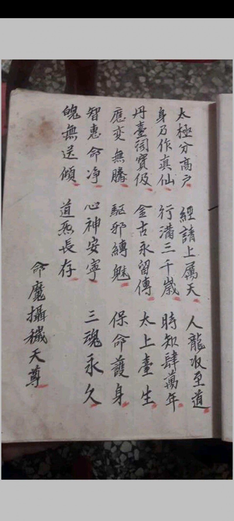 金罗汉法主传来正法(图2)