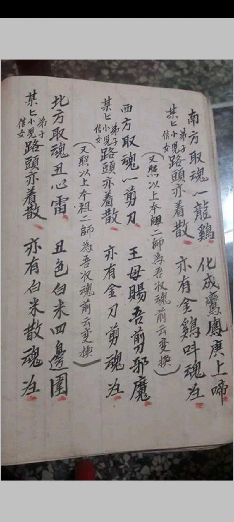 金罗汉法主传来正法(图3)