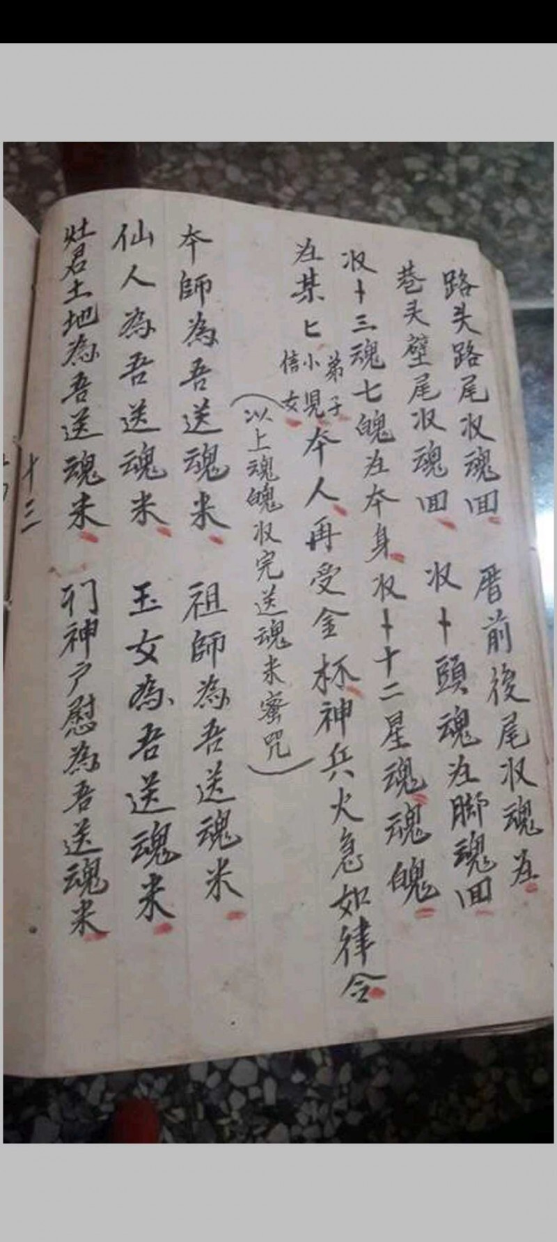 金罗汉法主传来正法(图5)