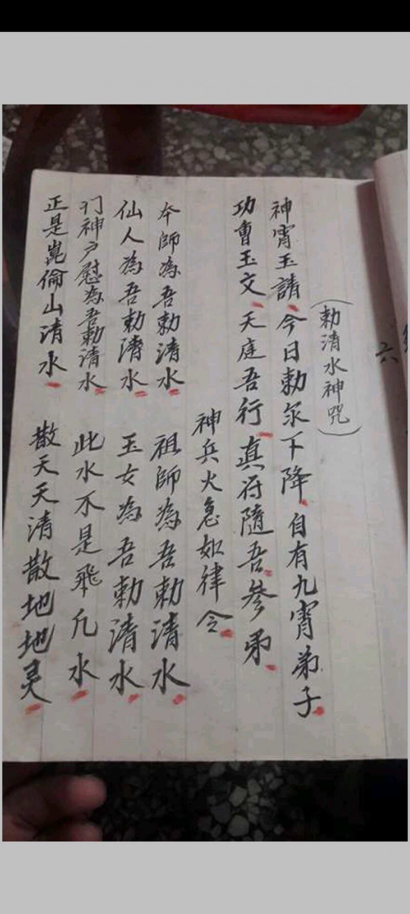 金罗汉法主传来正法(图6)