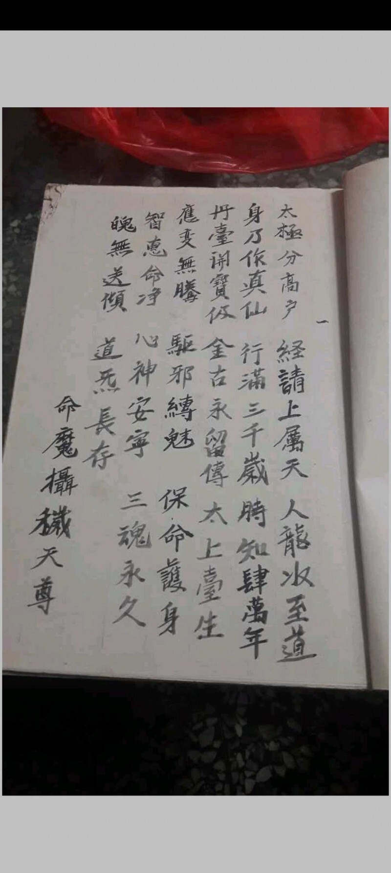 金罗汉法主传来正法(图7)