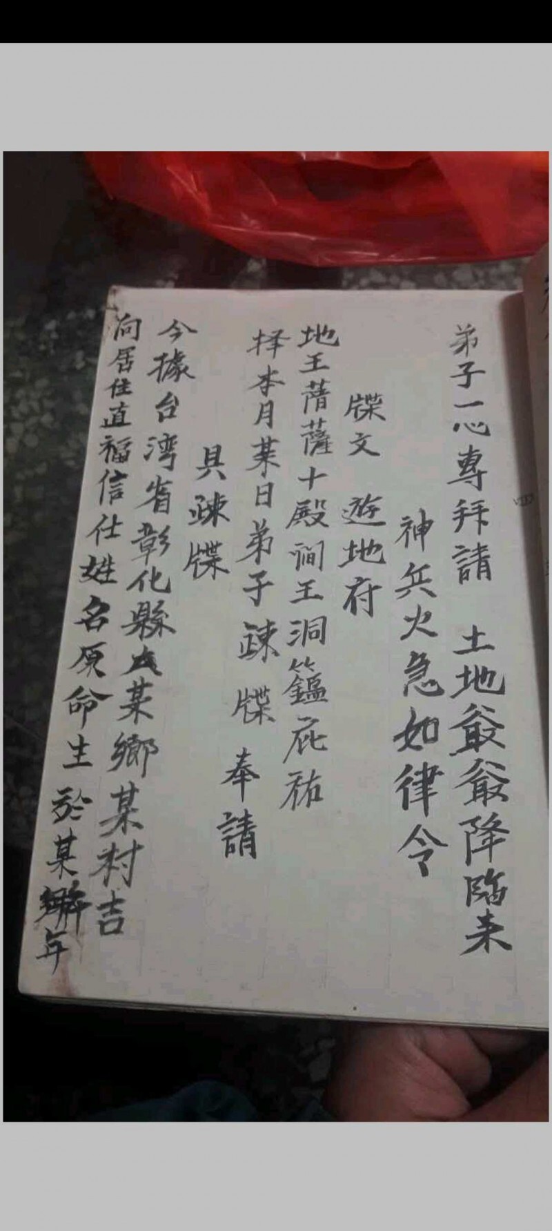 金罗汉法主传来正法(图9)