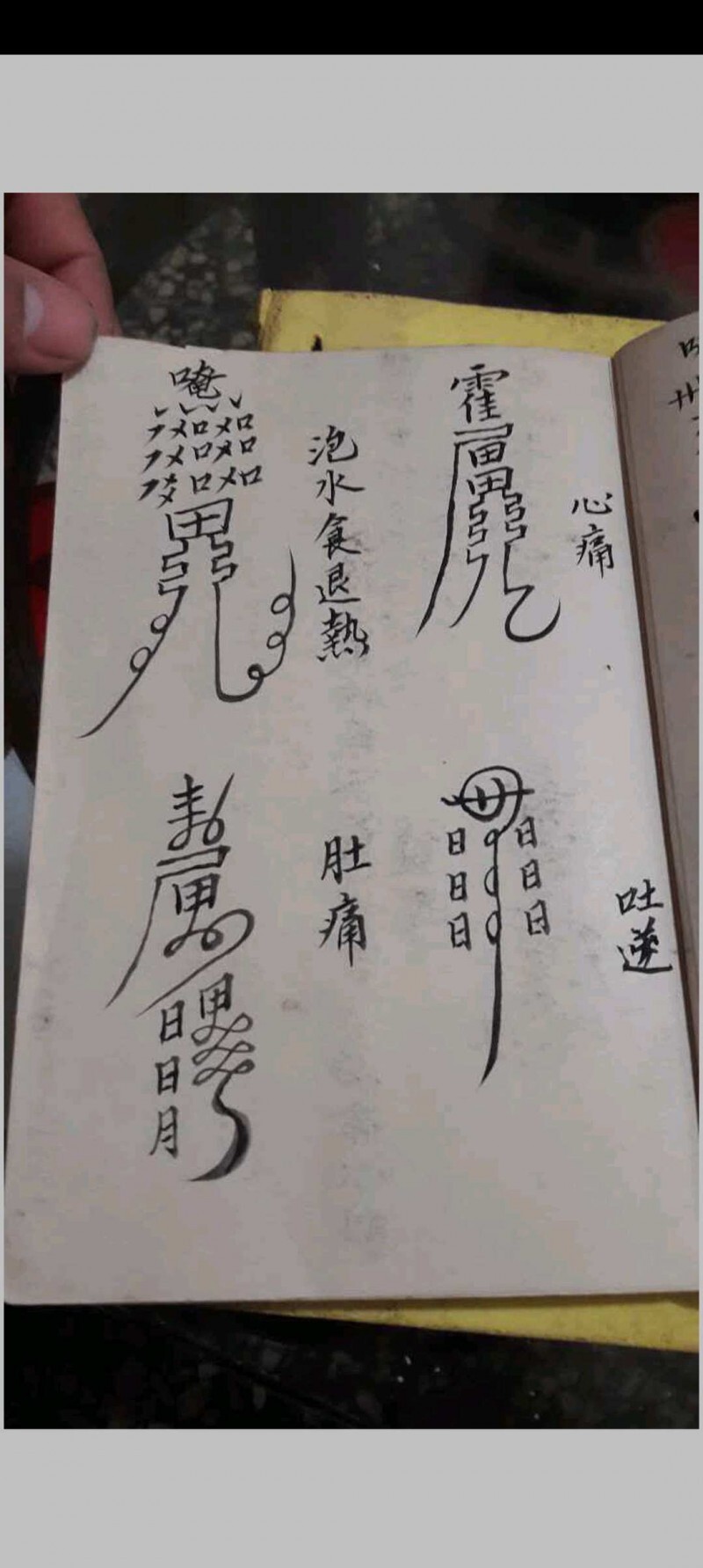 金罗汉法主传来正法(图10)