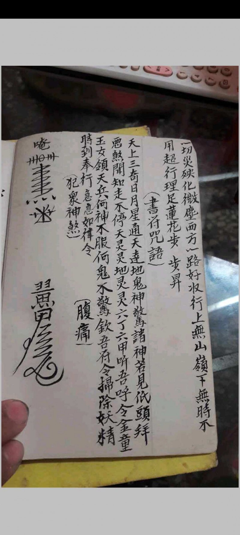 金罗汉法主传来正法(图12)