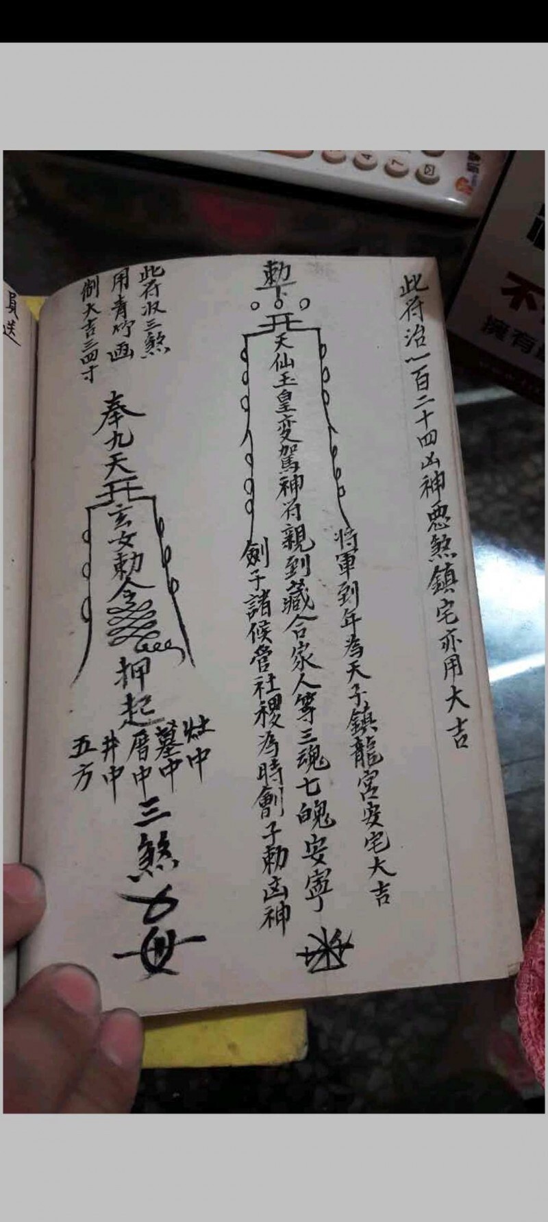 金罗汉法主传来正法(图15)
