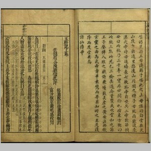 蓝桥玉杵记.二卷.明.杨之炯撰.陈继儒批