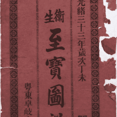 中医古籍《卫生至宝图说》清光绪三十三年铅印本