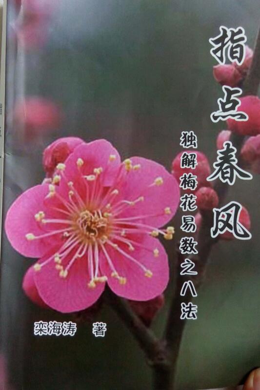 独解梅花易数之八法 《指点春风》栾海涛(图1)