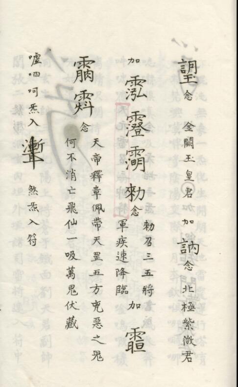 洞神劉天君祛病法秘（三册）(图5)