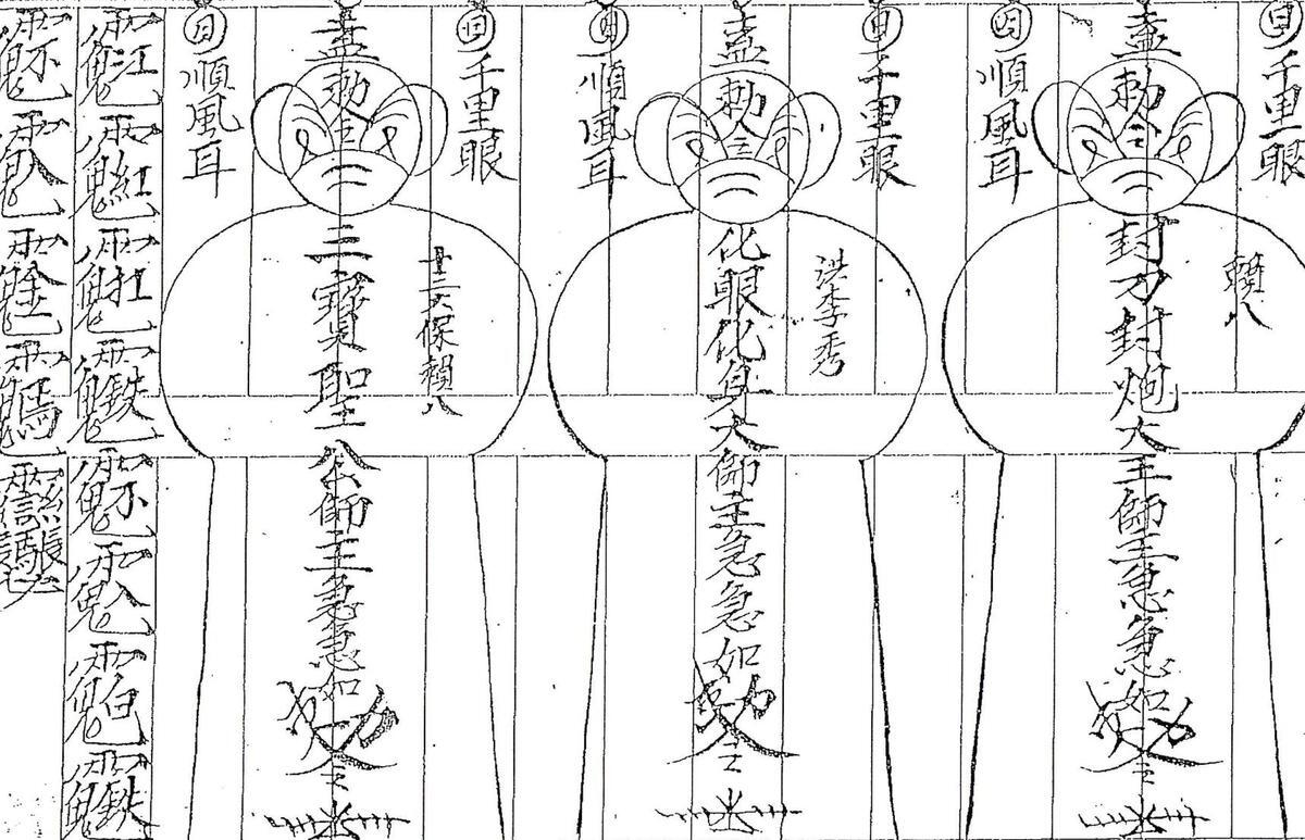 老白莲(图2)