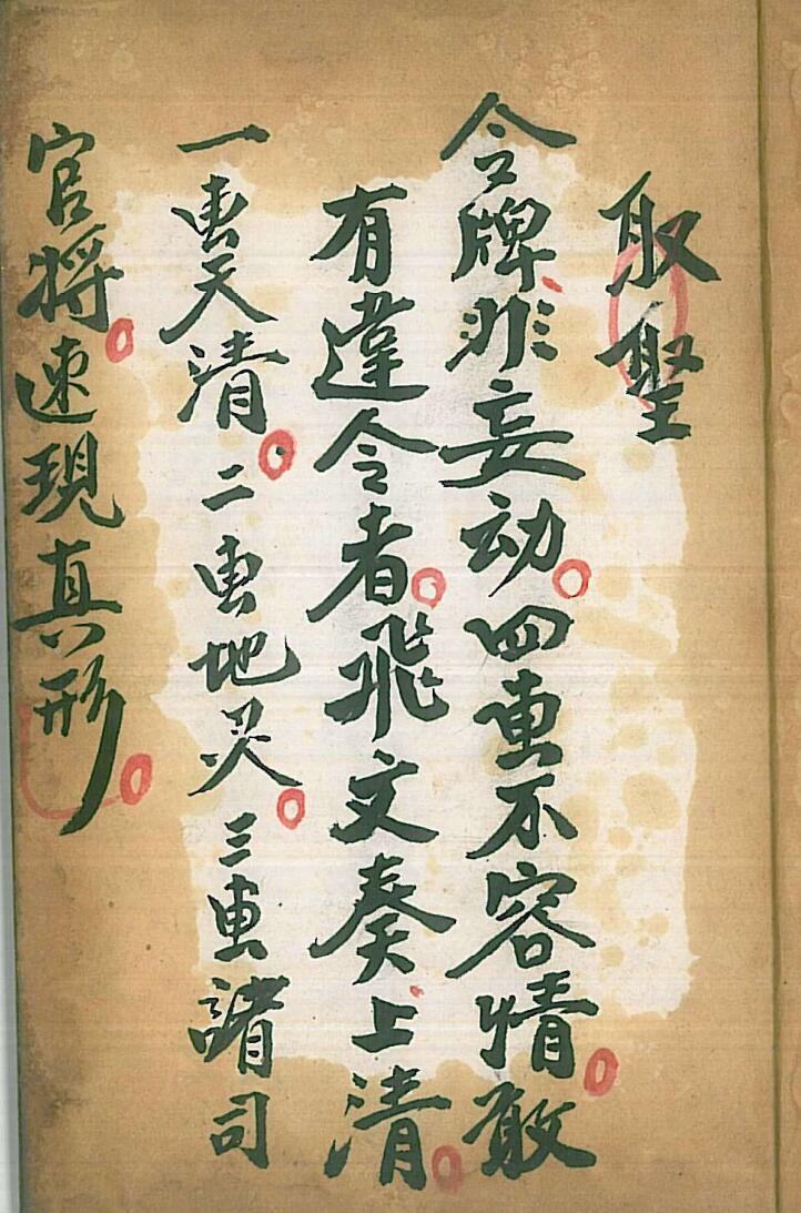 元皇收碟科(图2)