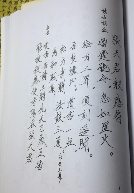 张帅报应符(图1)