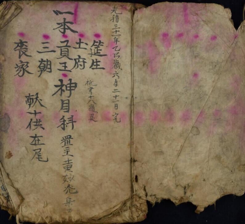 神目科(图2)