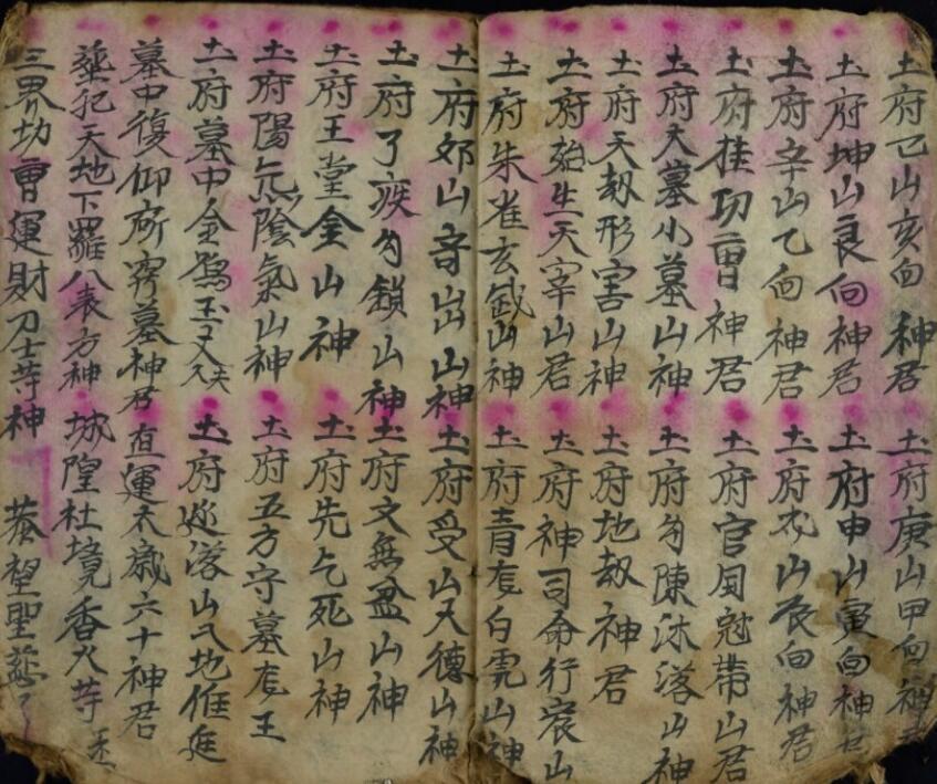 神目科(图5)