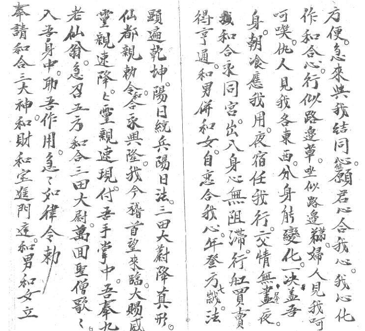 和合科(图3)