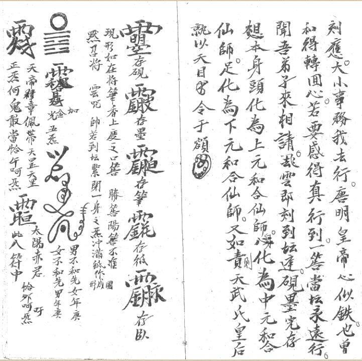 和合科(图4)