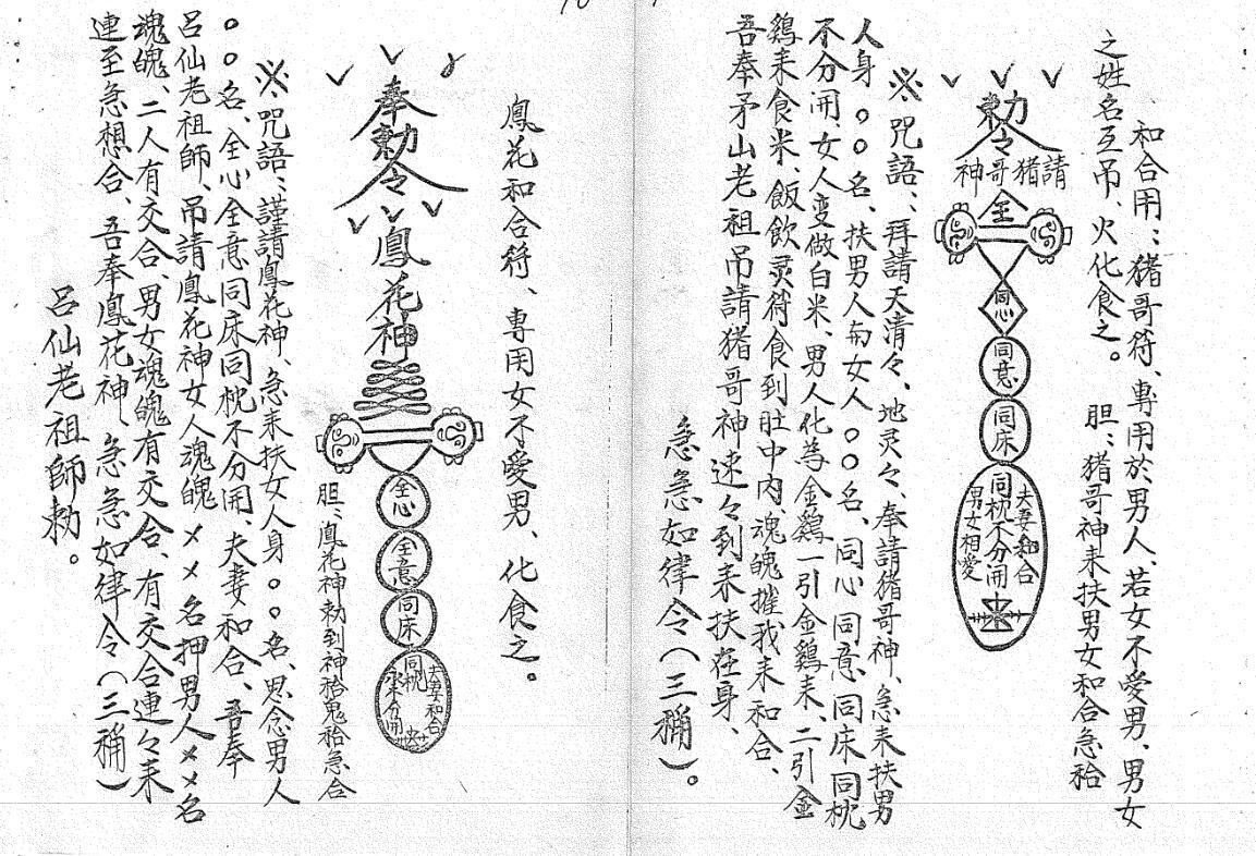 符书 民间符咒法术秘本(图7)