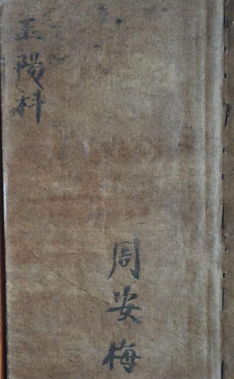 玉阳科(图2)
