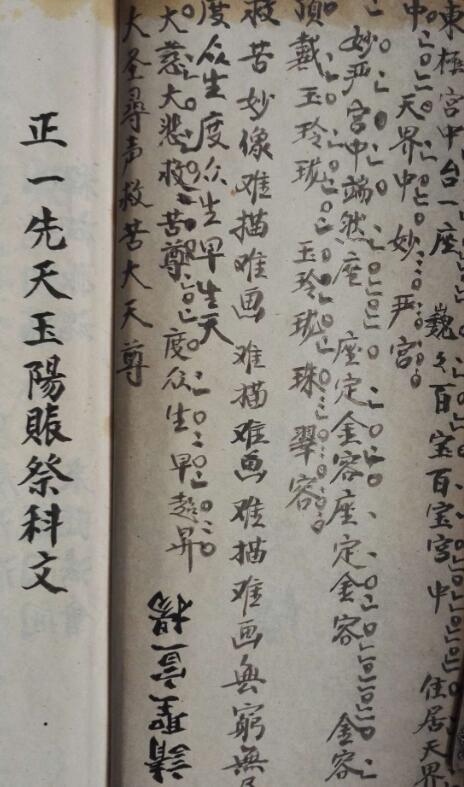 玉阳科(图3)