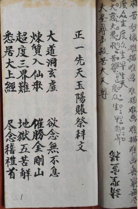 玉阳科(图4)