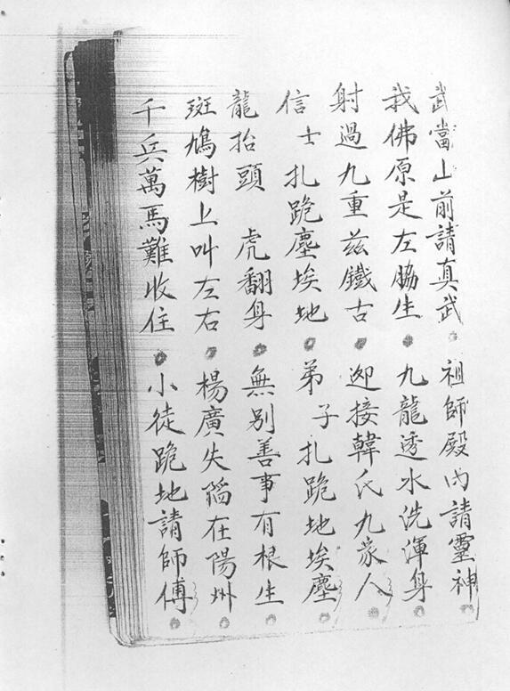 关师下马科(图6)