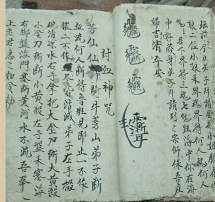 fz2100565 黄法有法书抄本.pdf(图3)