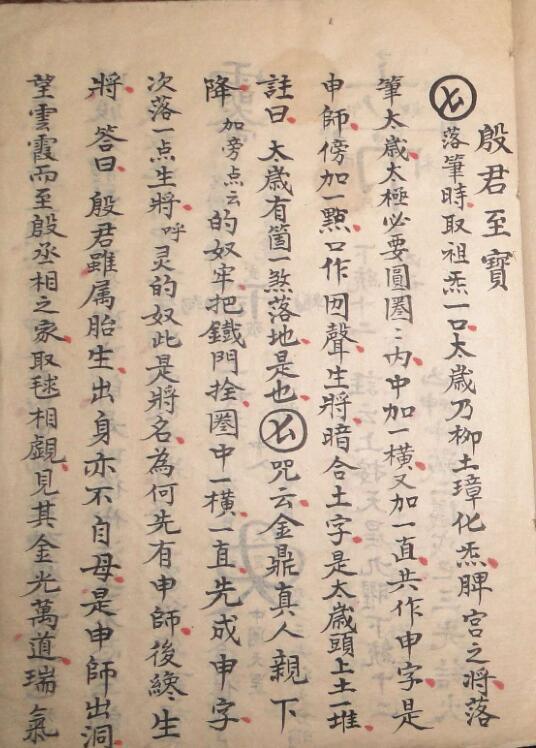 殷君至宝太岁血脉(图2)