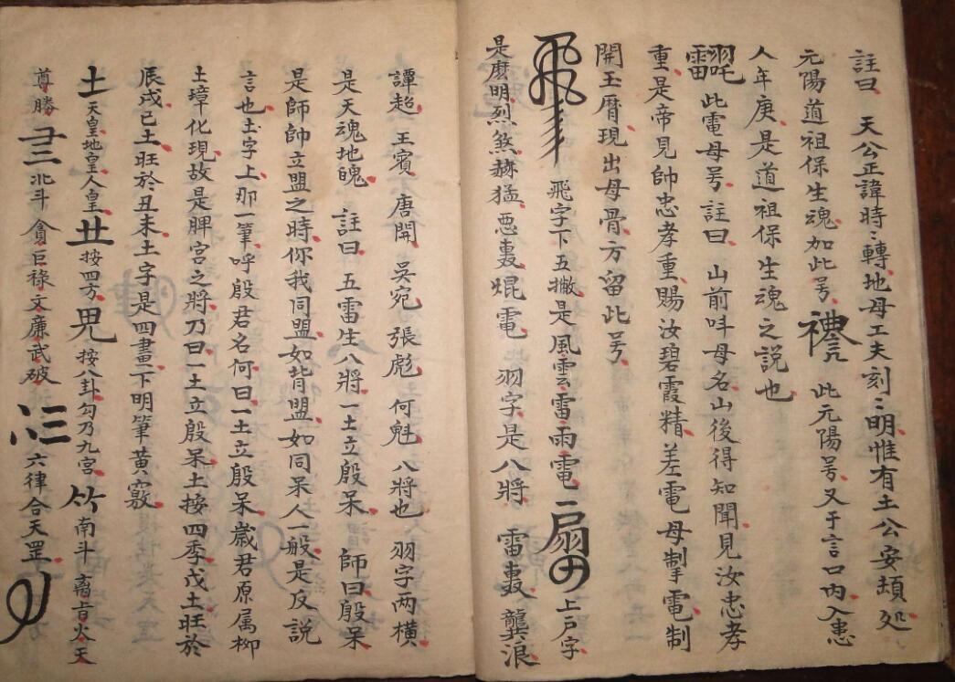 殷君至宝太岁血脉(图4)