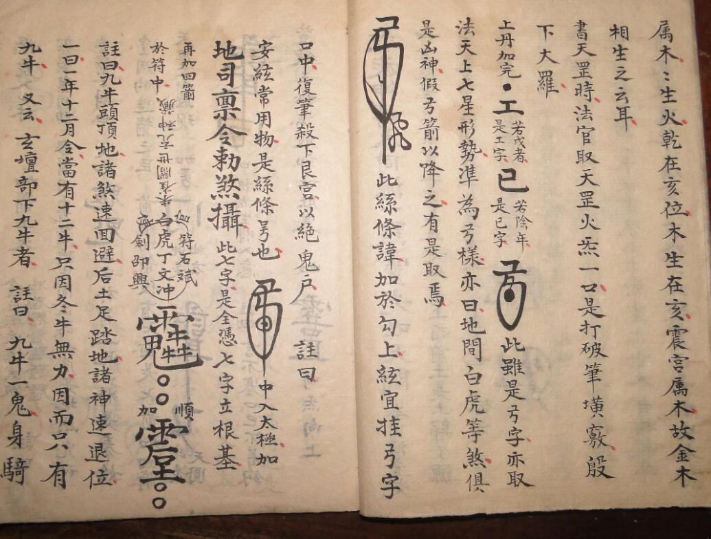 殷君至宝太岁血脉(图5)