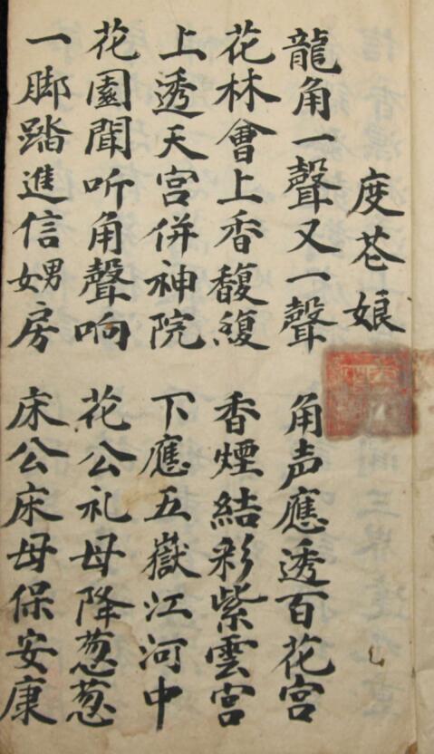 度花科(图2)