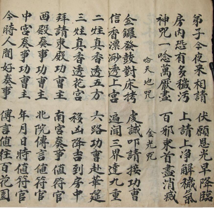 度花科(图3)