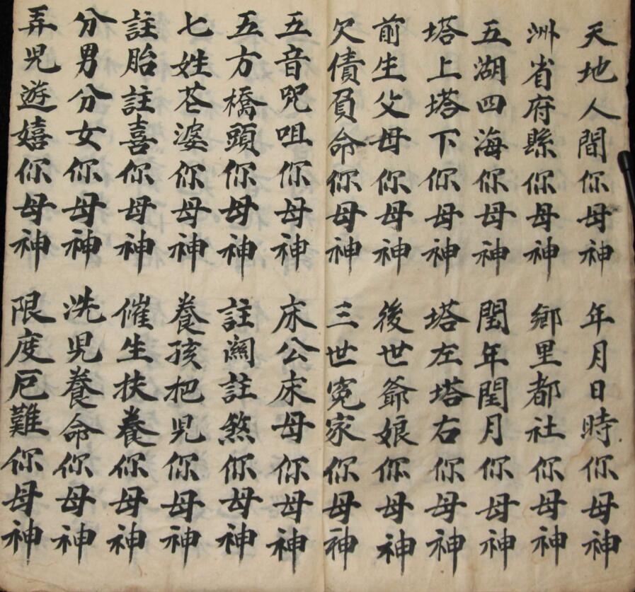度花科(图5)