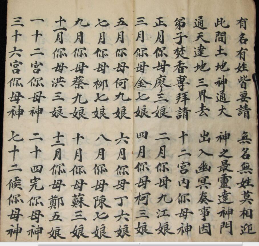 度花科(图4)