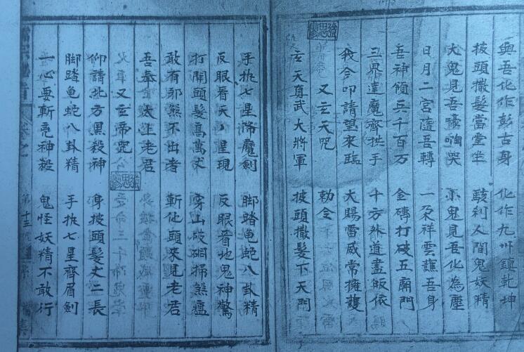 北极籙(图2)
