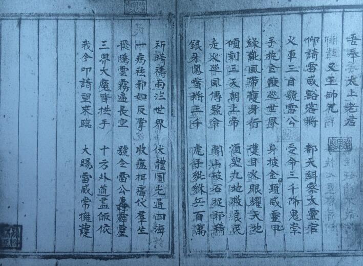 北极籙(图3)