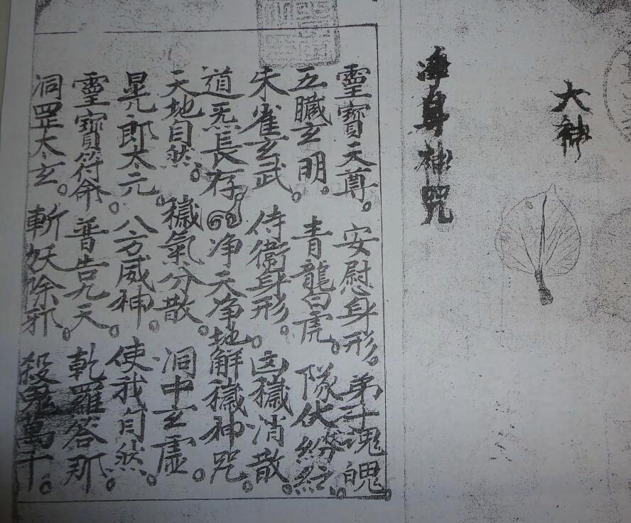 玉皇正法秘咒(图2)