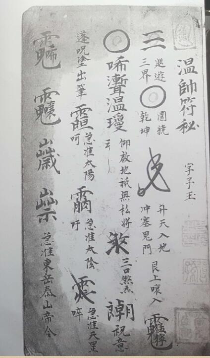 崇真堂温帅符秘(图2)
